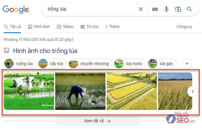 Tỉ lệ click (CTR) kết quả tìm kiếm Google (SERPs) trong SEO [2023]